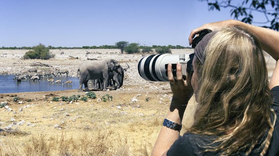 Femme photographiant des animaux en Tanzanie