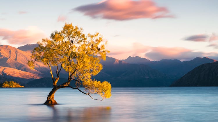 Lac Wanaka en Nouvelle-Zélande