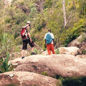 En randonnée dans la jungle avec un enfant