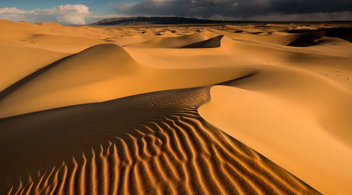 Gobi