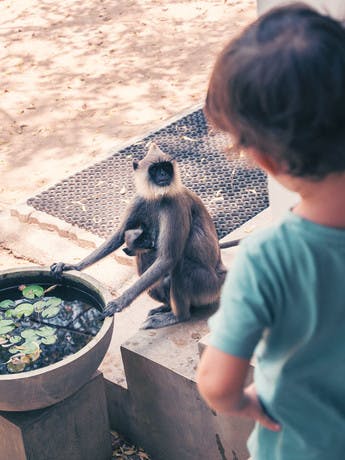 Descubriendo la naturaleza de Sri Lanka en familia