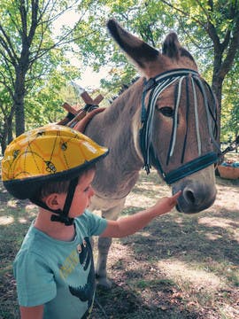 La randonnée à dos d'âne avec un enfant