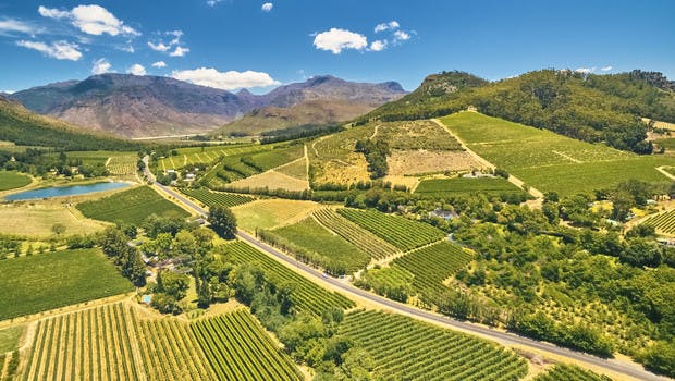 La route des vins dans la région du Cap, Afrique du sud