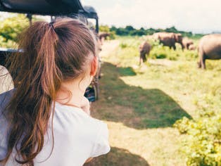 Top 10 Travel Destinations For Families