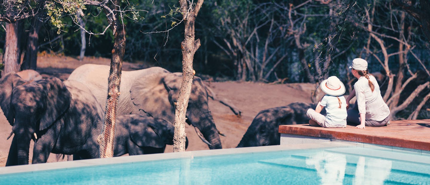 Family safari in Africa