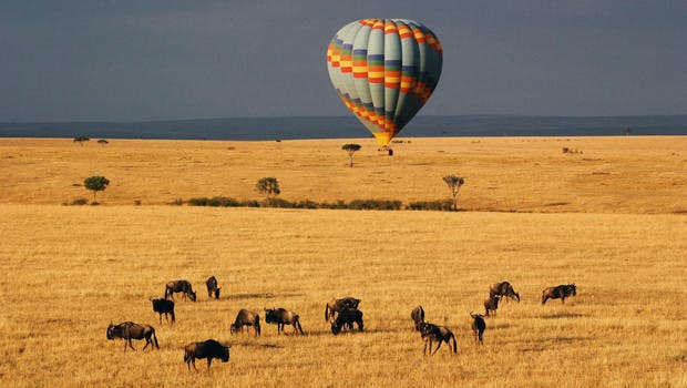 Montgolfière posée sur la savane dans le parc du Serengeti