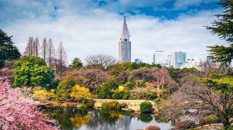 Parc de Shinjuku à Tokyo