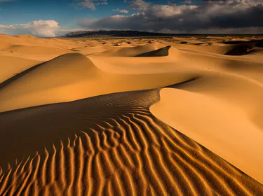 Gobi