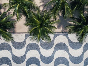 Palmiers et promenade du front de mer à Copacabana