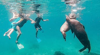 Snorkeling