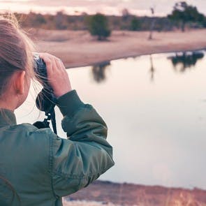 Die Besten Orte, um Wildtiere mit Kindern zu beobachten
