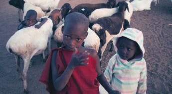 Rencontre Massais Tanzanie