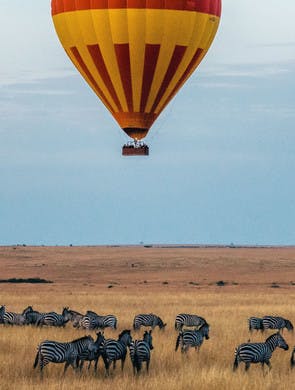 Montgolfière survolant un troupeau de zèbres dans le Masai Mara au Kenya