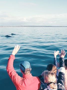 Observation de baleines en famille au Quebec.