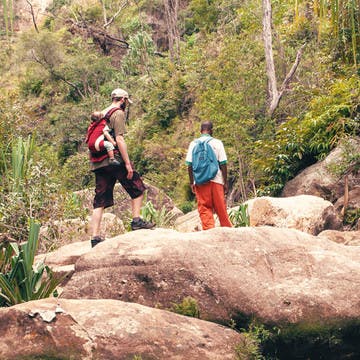 En randonnée dans la jungle avec un enfant