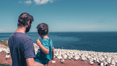 Observación de aves con tus hijos