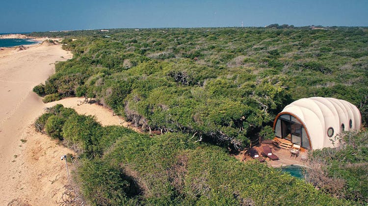 Une tente avec piscine privée dans la verdure en bord de plage