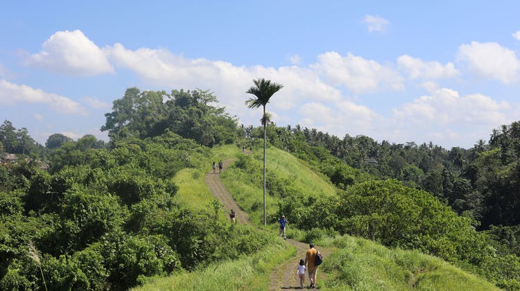 Senderismo en plena naturaleza en Bali en familia
