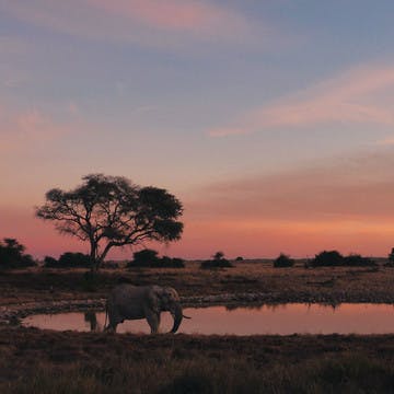 Atardecer en el parque nacional de Etosha en Namibia