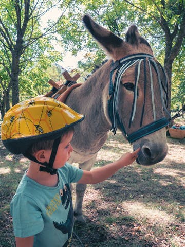 La randonnée à dos d'âne avec un enfant