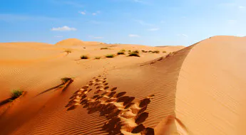 Rub al-Chali