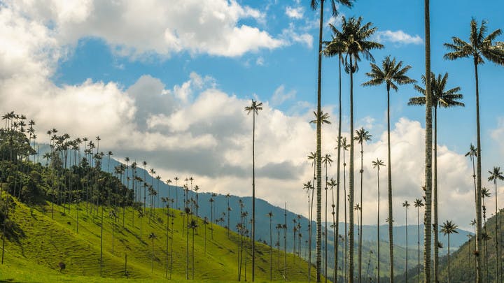 vallée de cocora