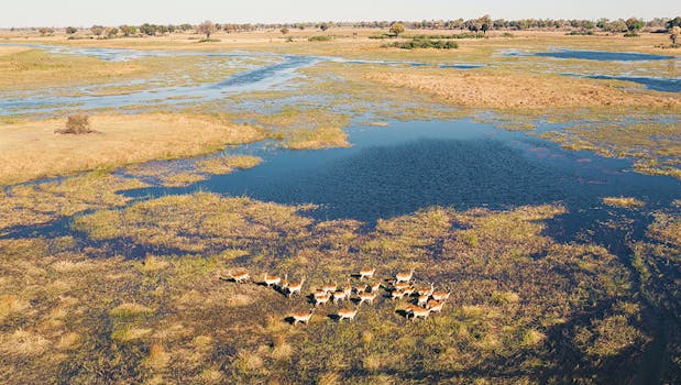 Das Okavango-Delta in Botswana