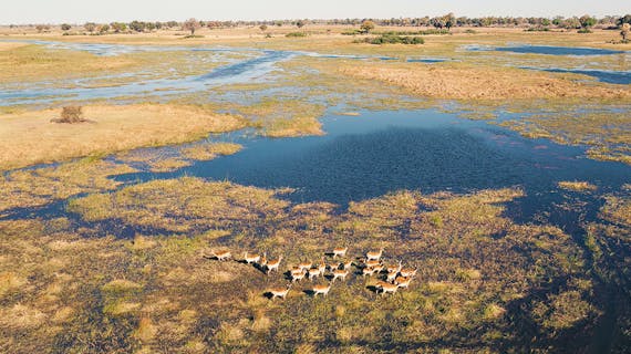Das Okavango-Delta in Botswana