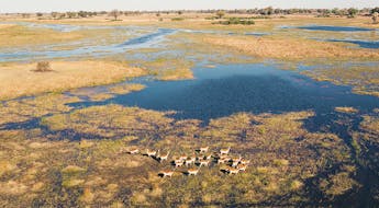 Das Okavango-Delta in Botswana