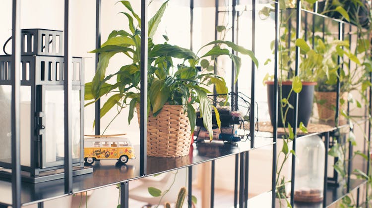 Bureau Evaneos, Paris