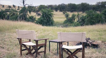 Un campement face à la savane avec un éléphant marchant au loin