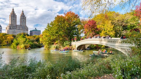 Central Park New York
