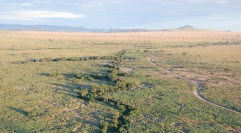 Survol en montgolfière du parc de Serengeti en Tanzanie