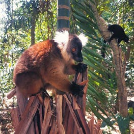 A fascinating country