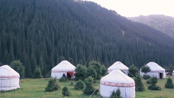 Yourtes en lisière d'une forêt de pins au Kirghizistan