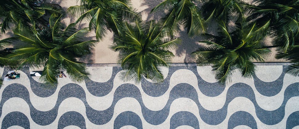Palmiers et promenade du front de mer à Copacabana