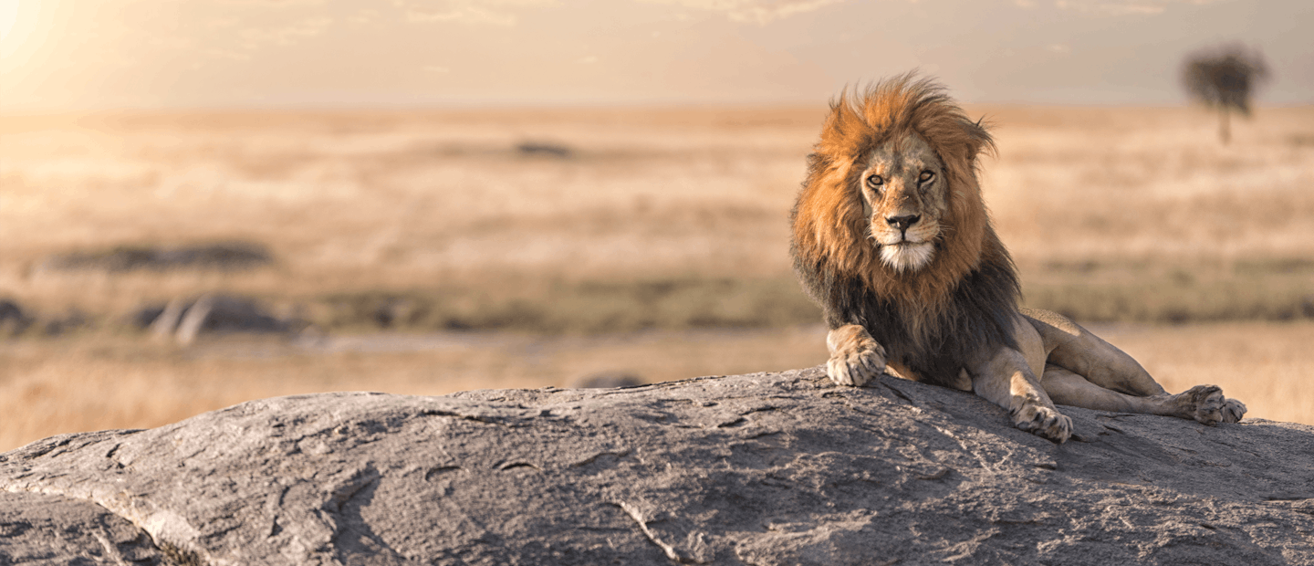 Tanzania