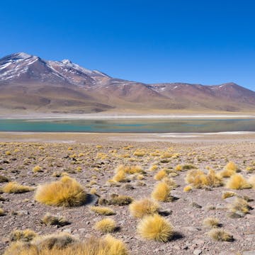Los Flamencos, Atacama Wüste, Chile