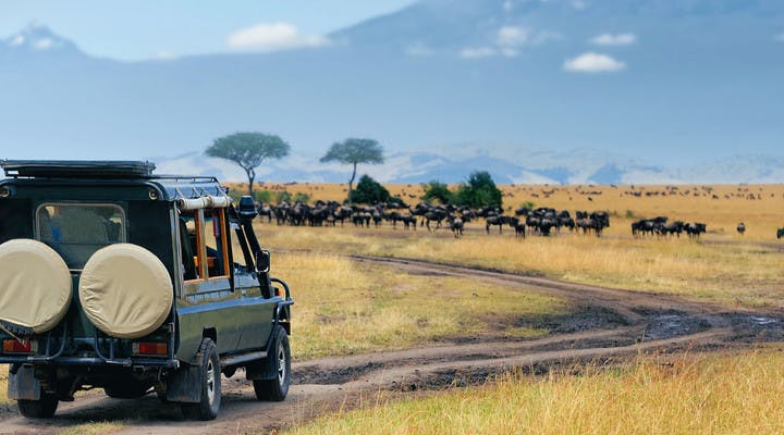 Safari dans le parc de Masai Mara au Kenya
