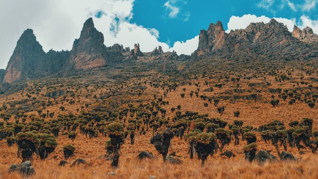 Le mont Kenya