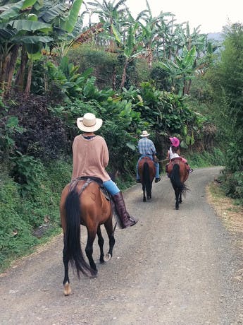 Family travellers in Colombia