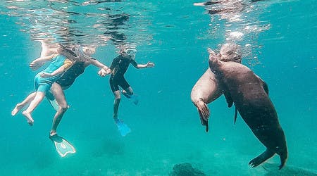 Snorkeling