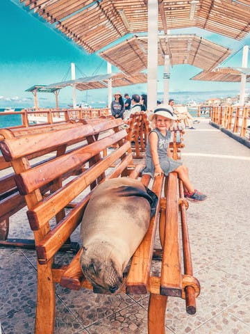 Nuevos amigos al llegar a Galápagos