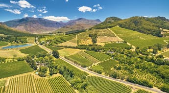 La route des vins dans la région du Cap, Afrique du sud