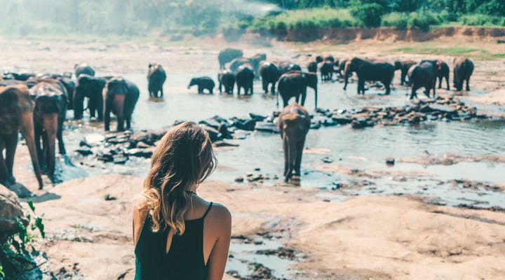 Viaggiatrice al santuario di Polonnaruwa in Sri Lanka