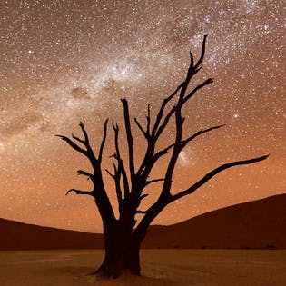 Sternenhimmel in der Namib Wüste, Namibia