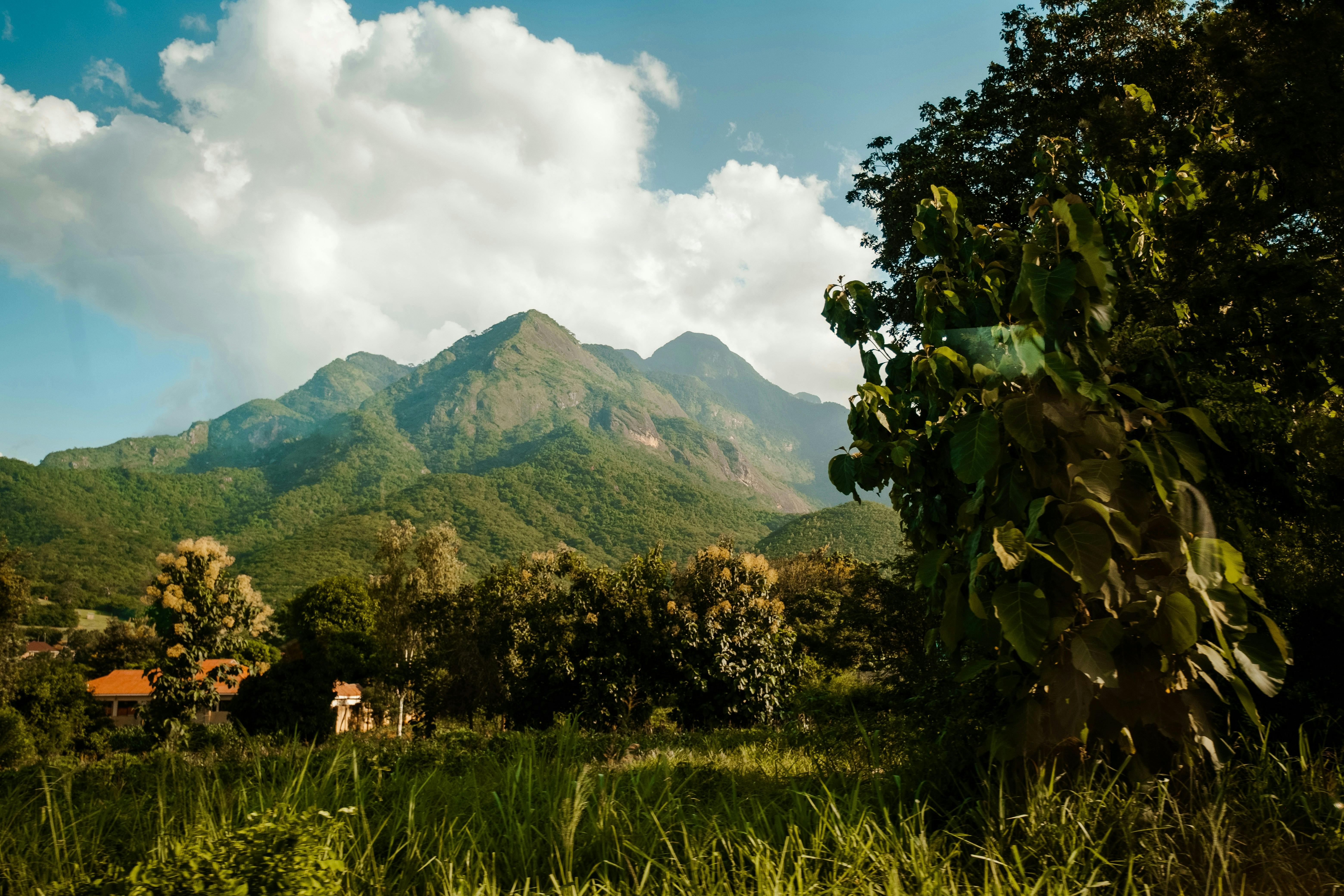 Tanzanie