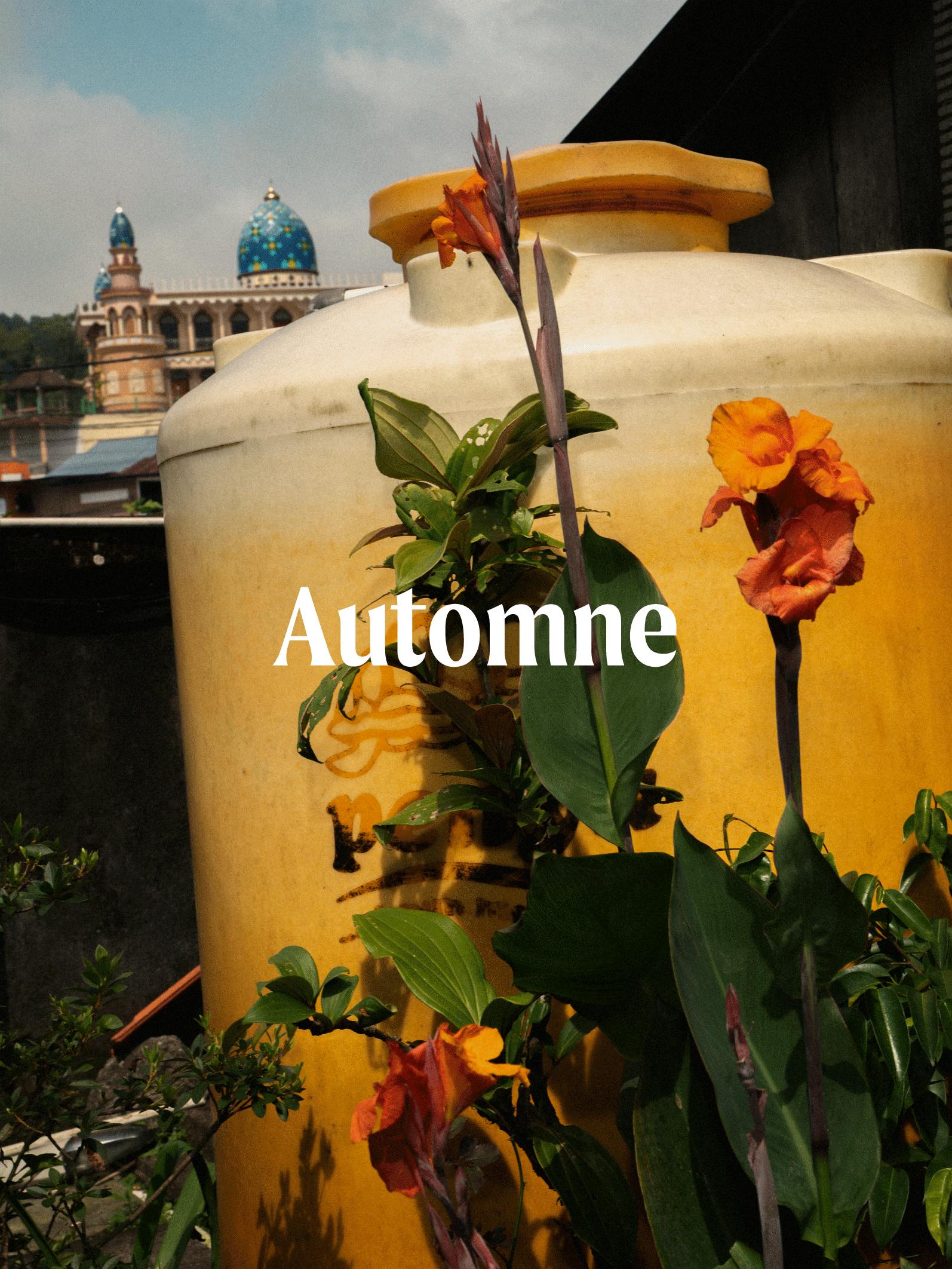 automne