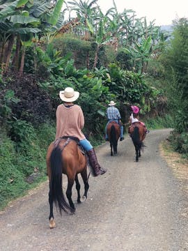 Family travellers in Colombia