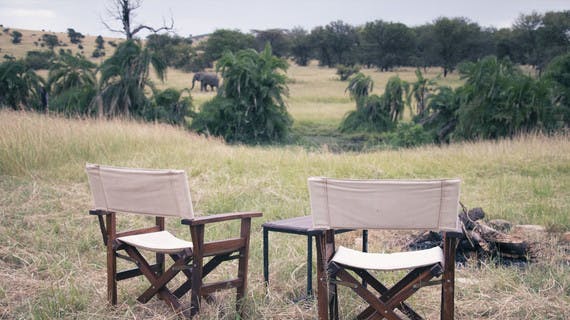Un campement face à la savane avec un éléphant marchant au loin